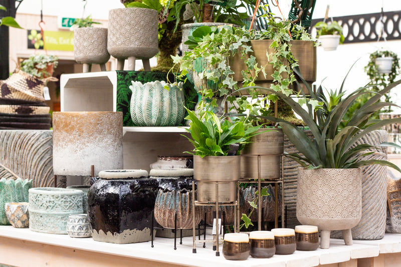 Embracing nature in your home