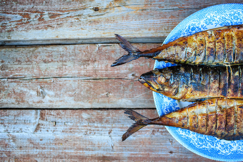What are the best sources of Omega 3?